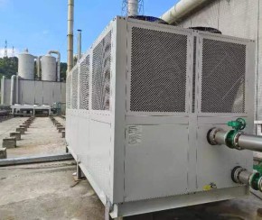垃圾發(fā)電廠臭氧冷卻風冷螺桿冷水